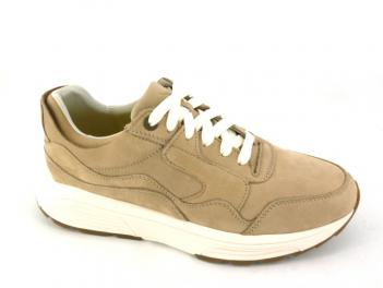 -GOLDEN GATE 33200 Taupe